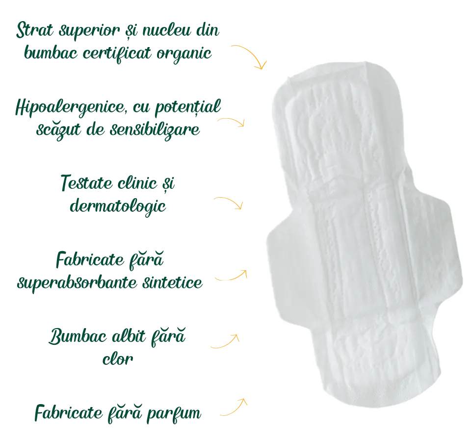 Features absorbant
