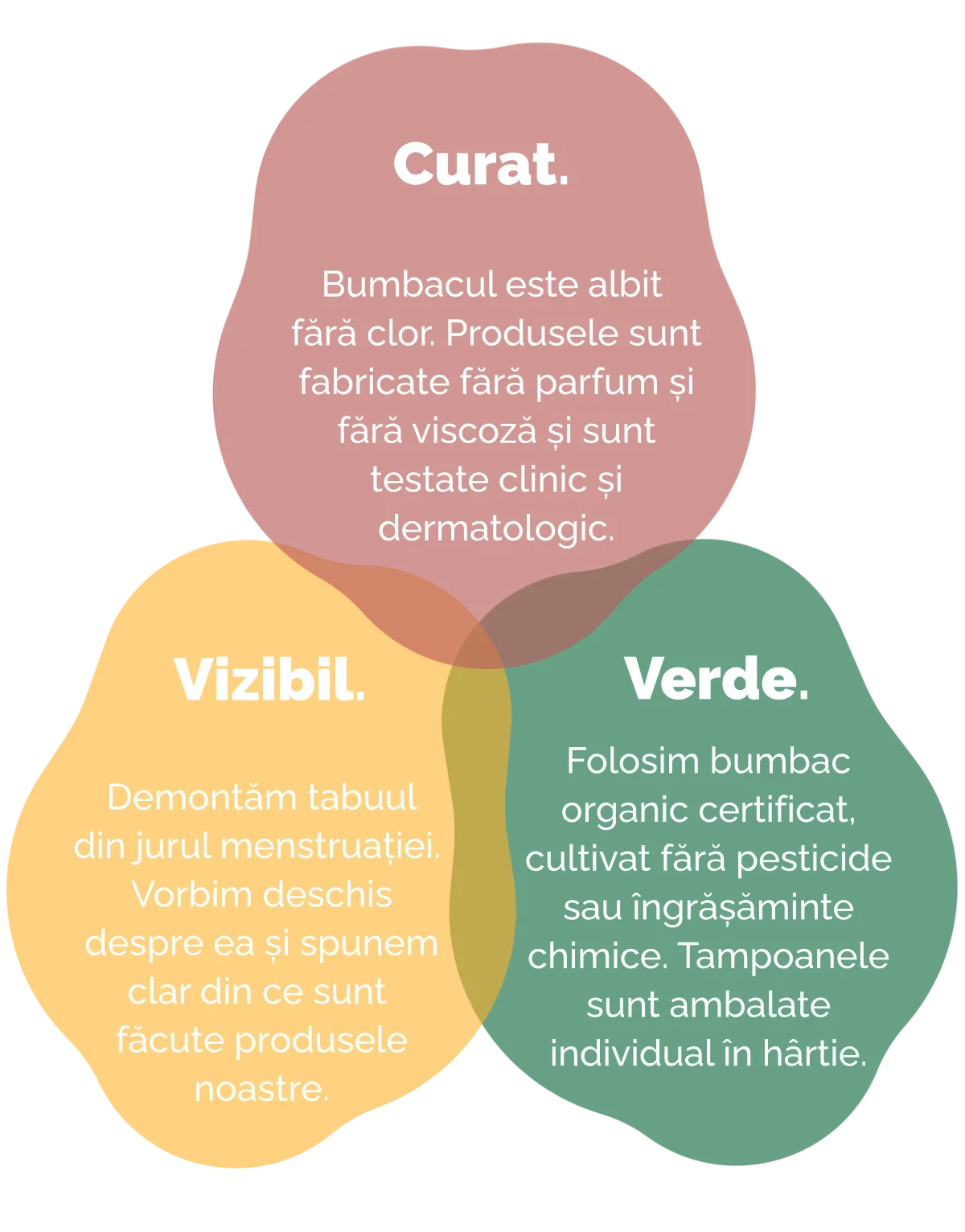 Misiune meloni absorbante